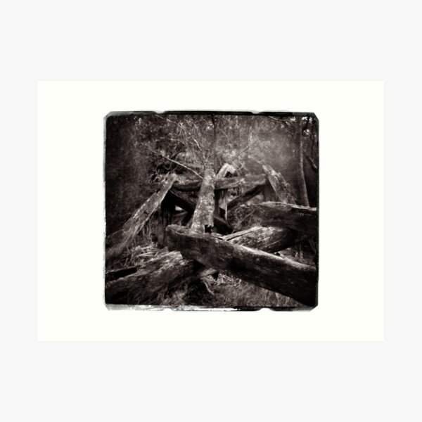 Remnants of the Past_Pinhole Photography Art Print