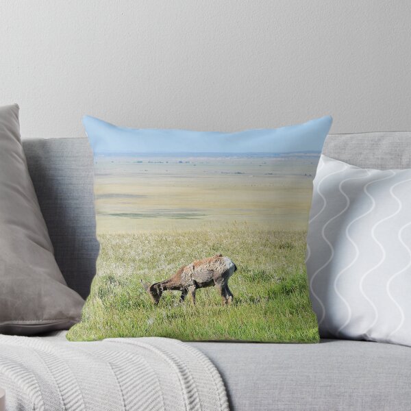 Item preview, Bighorn Sheep Grazing, Badlands National Park, South Dakota designed and sold by breannehope.