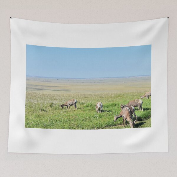 Item preview, Bighorn Sheep Grazing, Badlands National Park, South Dakota designed and sold by breannehope.