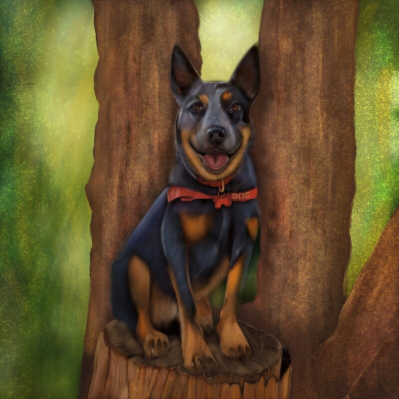 "Blue Heeler " by barkingpixls | Redbubble