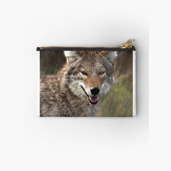 Item preview, Coyote designed and sold by Floyd Hopper.