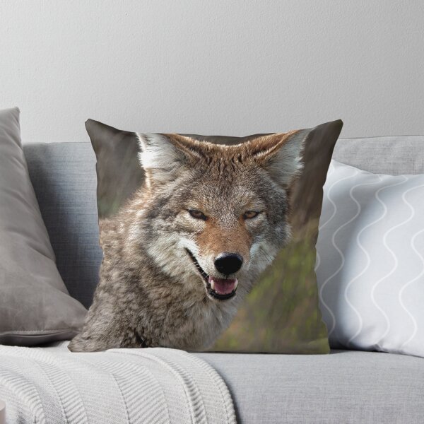 Item preview, Coyote designed and sold by Floyd Hopper.