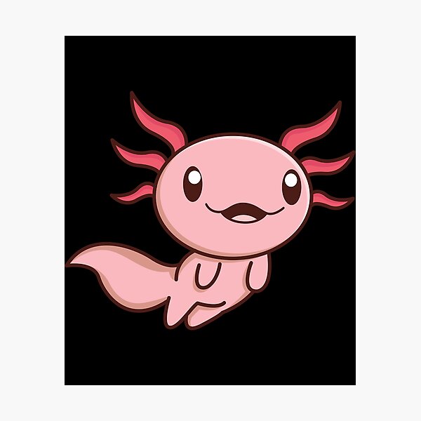 Smiling Funny Cute Smiling Axolotl Giftidea Photographic Print By Tshirtbauer Redbubble