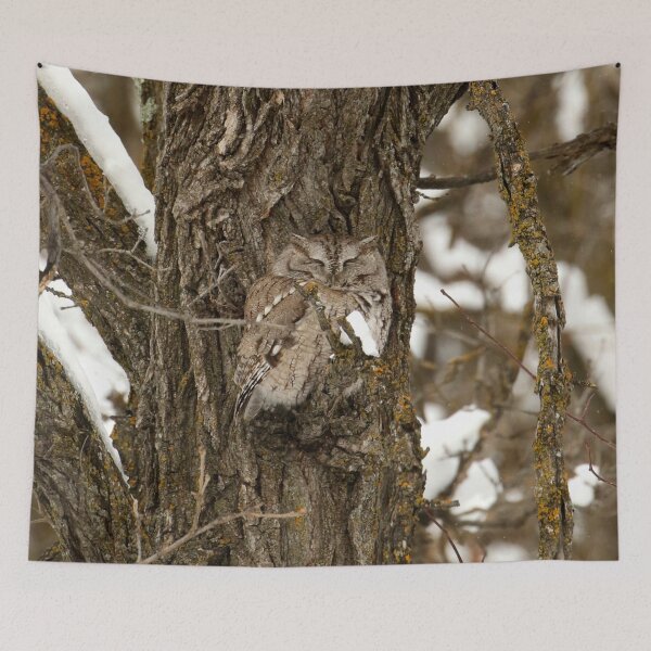 Item preview, Screech Owl designed and sold by locustgirl.