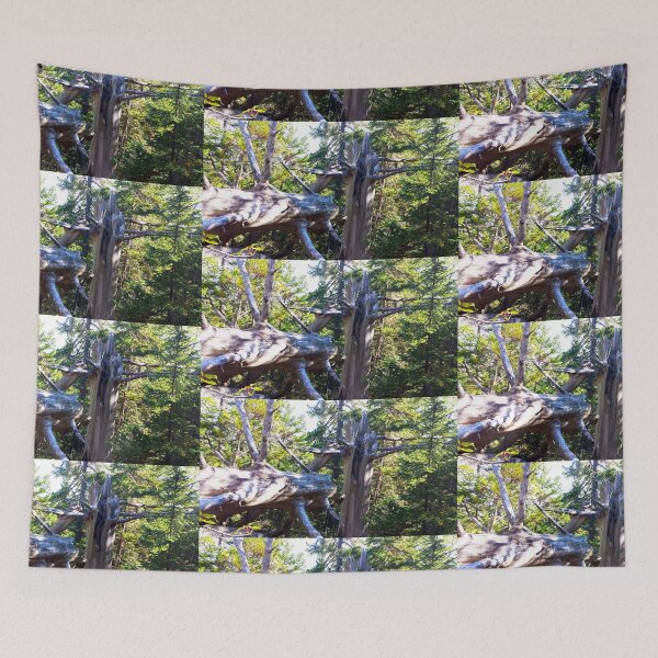 Item preview, Fallen Tree in the Forest designed and sold by Totallyalive.