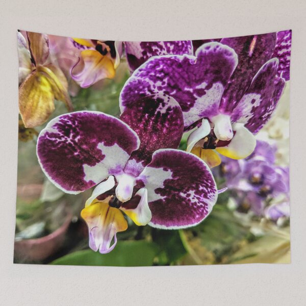 Item preview, Wine Orchids designed and sold by AmberELamoreaux.