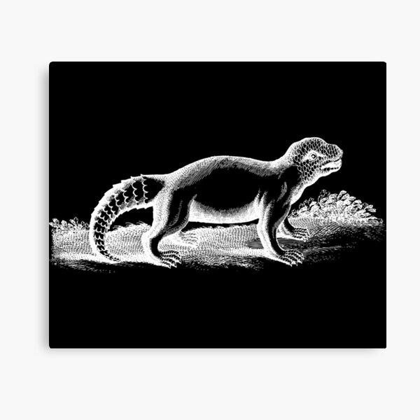 Item preview, Lystrosaurus Dinosaur Drawing (Black) Antique Fine Art Illustration  designed and sold by freshlypeeled.