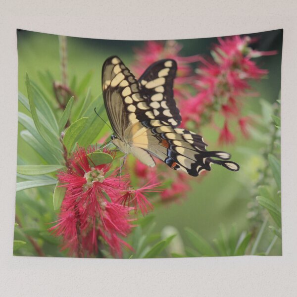 Item preview, Giant Swallowtail designed and sold by Bob Hardy.