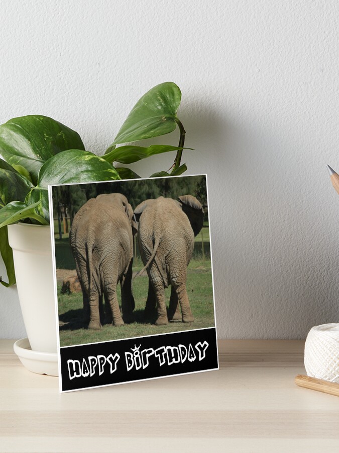 I LOVE ELEPHANTS - HAPPY BIRTHDAY- FUNNY ELEPHANT PHOTO MEME DESIGN FOR ELEPHANT LOVERS I LOVE ELEPHANTS - HAPPY BIRTHDAY- FUNNY ELEPHANT PHOTO MEME DESIGN FOR ELEPHANT LOVERS