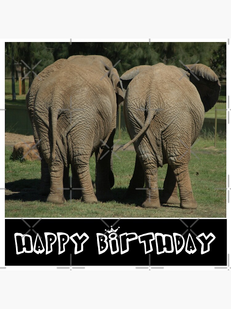 I Love Elephants Happy Birthday Funny Elephant Photo Meme Design For Elephant Lovers Postcard By Photograff Redbubble