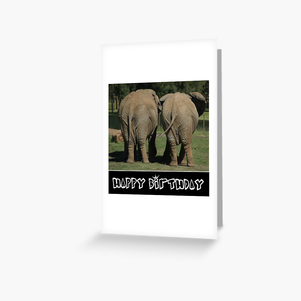 I LOVE ELEPHANTS - HAPPY BIRTHDAY- FUNNY ELEPHANT PHOTO MEME DESIGN FOR ELEPHANT LOVERS I LOVE ELEPHANTS - HAPPY BIRTHDAY- FUNNY ELEPHANT PHOTO MEME DESIGN FOR ELEPHANT LOVERS