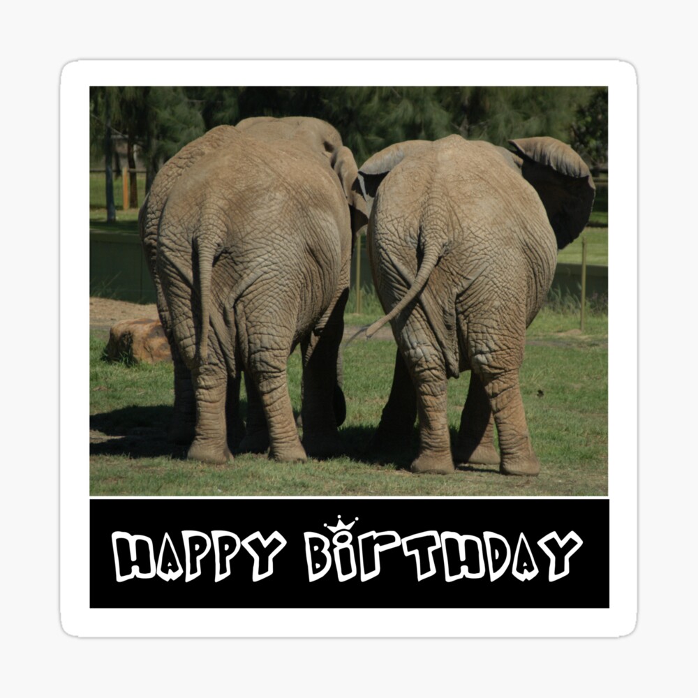 I LOVE ELEPHANTS - HAPPY BIRTHDAY- FUNNY ELEPHANT PHOTO MEME DESIGN FOR ELEPHANT LOVERS I LOVE ELEPHANTS - HAPPY BIRTHDAY- FUNNY ELEPHANT PHOTO MEME DESIGN FOR ELEPHANT LOVERS