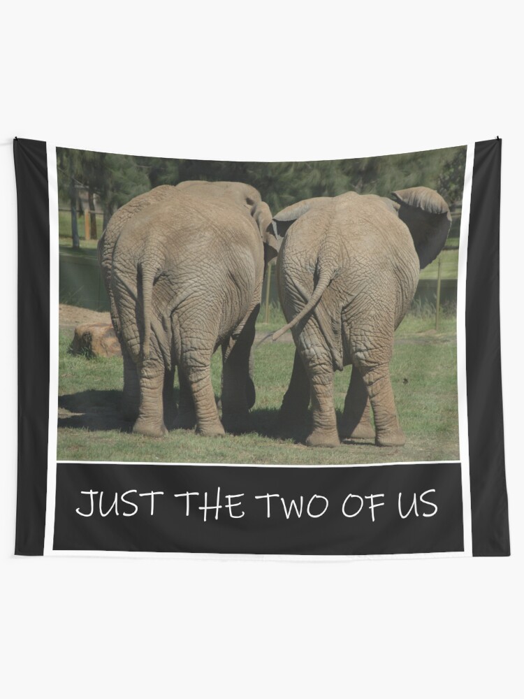 Love Elephants Empty Nesters Funny Elephant Photo Meme Design For Elephant Lovers Tapestry By Photograff Redbubble