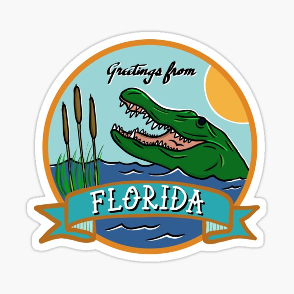 Skyline Alligator Sun Snake Patch Seal Miami City Florida 
