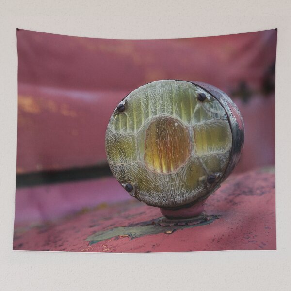 Item preview, Light on an Old Farm Truck designed and sold by jsachs99.