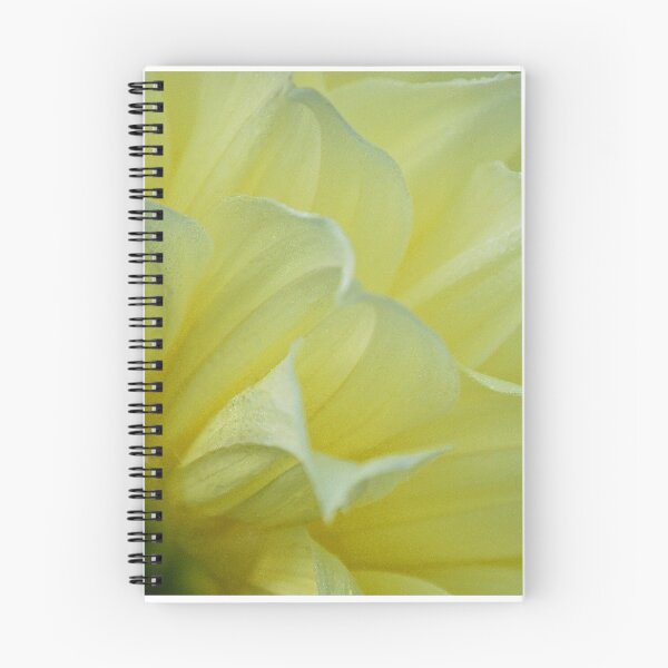 Item preview, Frills designed and sold by Victoria Jostes.
