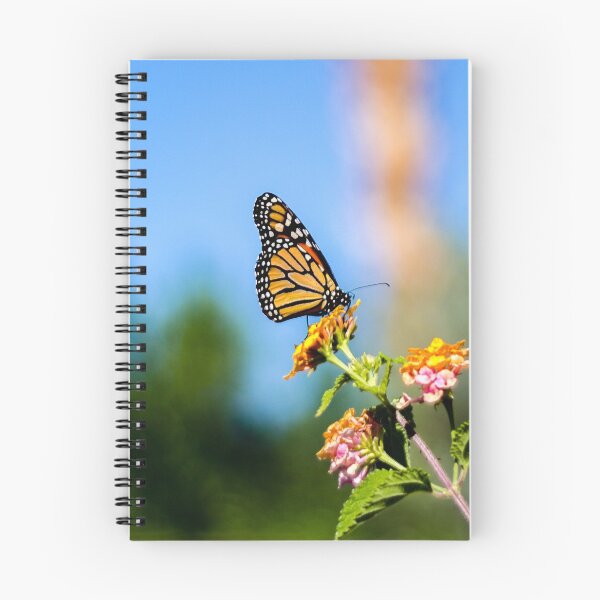 Item preview, Monarch Visitor designed and sold by darren-j-mcleod.