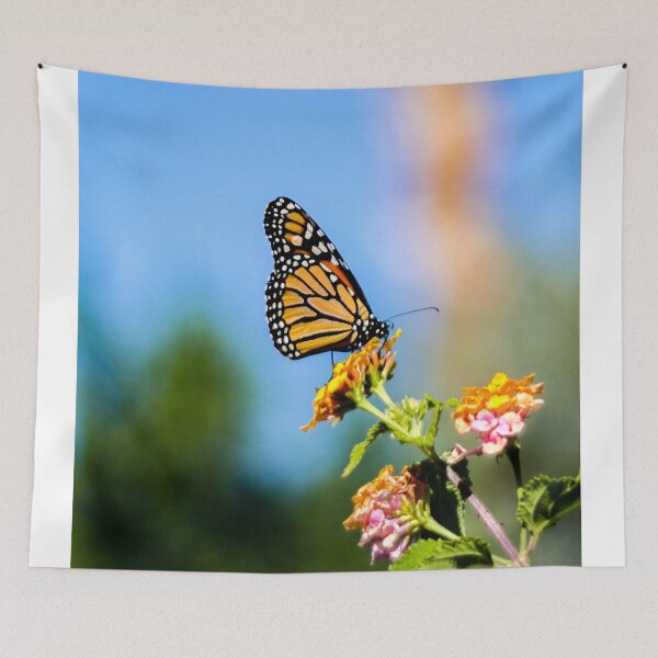 Item preview, Monarch Visitor designed and sold by darren-j-mcleod.
