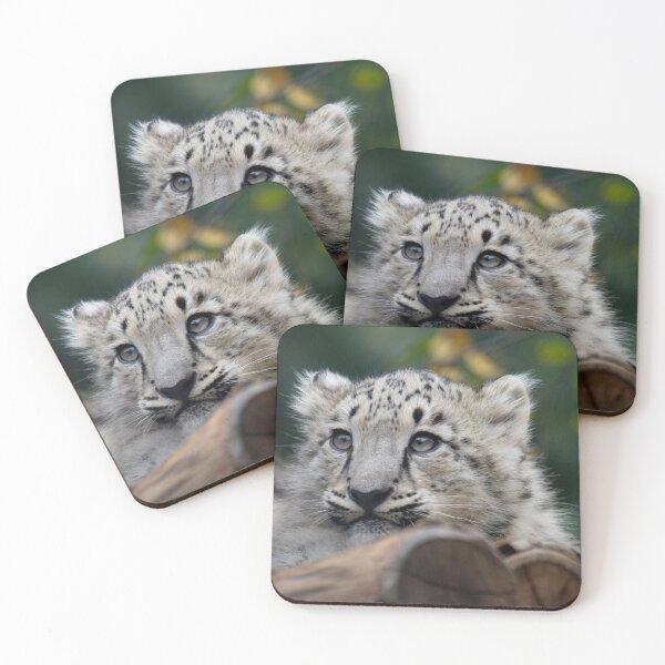 Item preview, Baby Snow Leopard VI designed and sold by TVD-Photography.