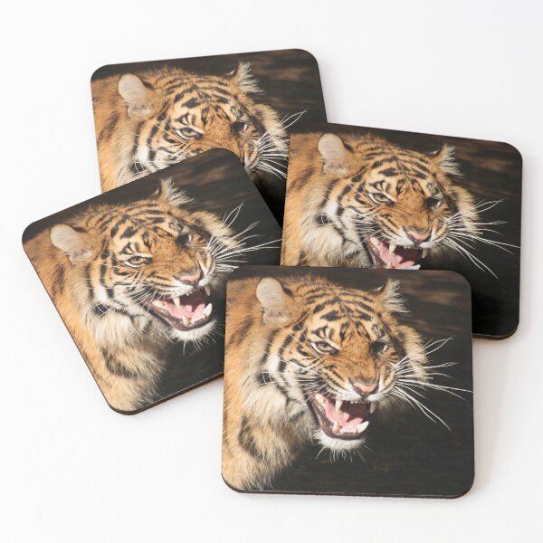 Item preview, Tiger: Annoyance designed and sold by TVD-Photography.