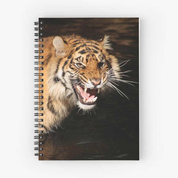 Item preview, Tiger: Annoyance designed and sold by TVD-Photography.