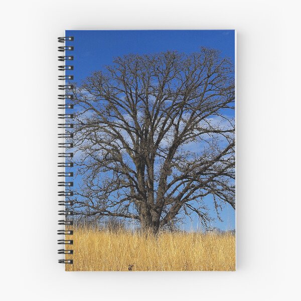 Item preview, Prairie, savanna oak - blue sky and golden grass designed and sold by rvjames.
