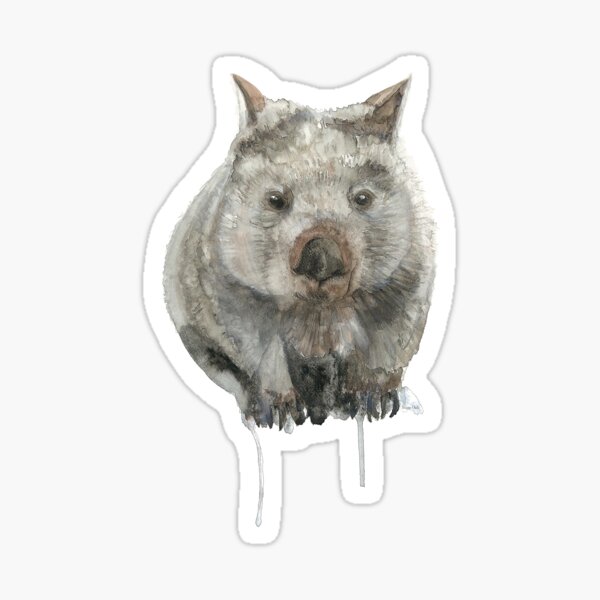 Common Wombat Sticker
