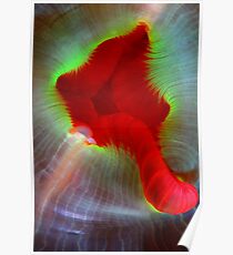 Rolling Stones Poster
