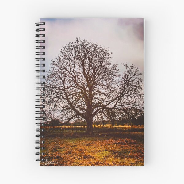 Item preview, One Tree designed and sold by Ron Finkel.