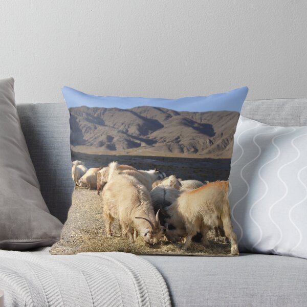 Item preview, Grazing sheeps designed and sold by Milonk.