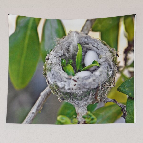 Item preview, Hummingbirds Soon ♥♥ designed and sold by heatherfriedman.