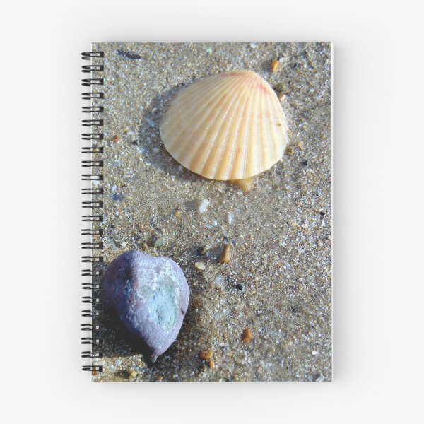 Item preview, shell and pebble designed and sold by KathleenDawson.