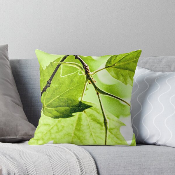 Item preview, Mr Maples  designed and sold by Kornrawiee.