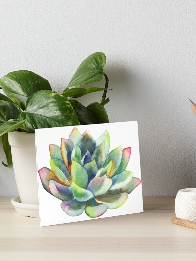 Succulent Painting Original Watercolor, Hawaii Art, Southwest Cactus Decor, Succulent Plant, Kauai Artist, Cactus Watercolor, online Succulent Gift