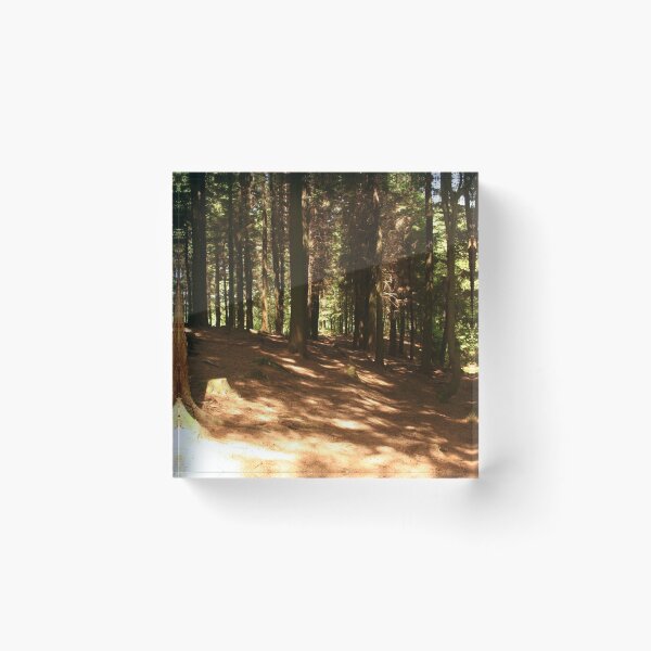 Item preview, Llantrisant forestry foreboding, moody woodland designed and sold by Digitaldegs.