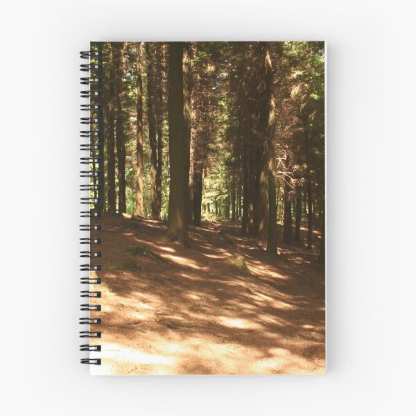 Item preview, Llantrisant forestry foreboding, moody woodland designed and sold by Digitaldegs.