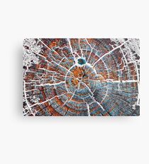 Winter is coming Metal Print