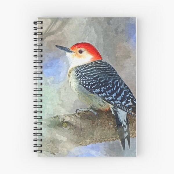 Item preview, Red Bellied Woodpecker designed and sold by Peter Stratton.