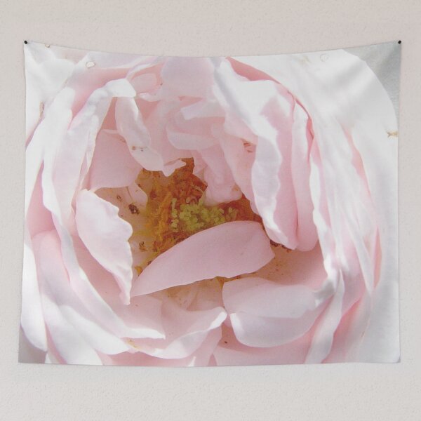 Item preview, A Rose a day in summer - the palest pink designed and sold by ellenhenry.