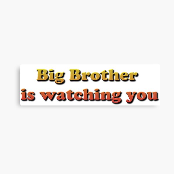 Big Brother Is Watching You Canvas Print