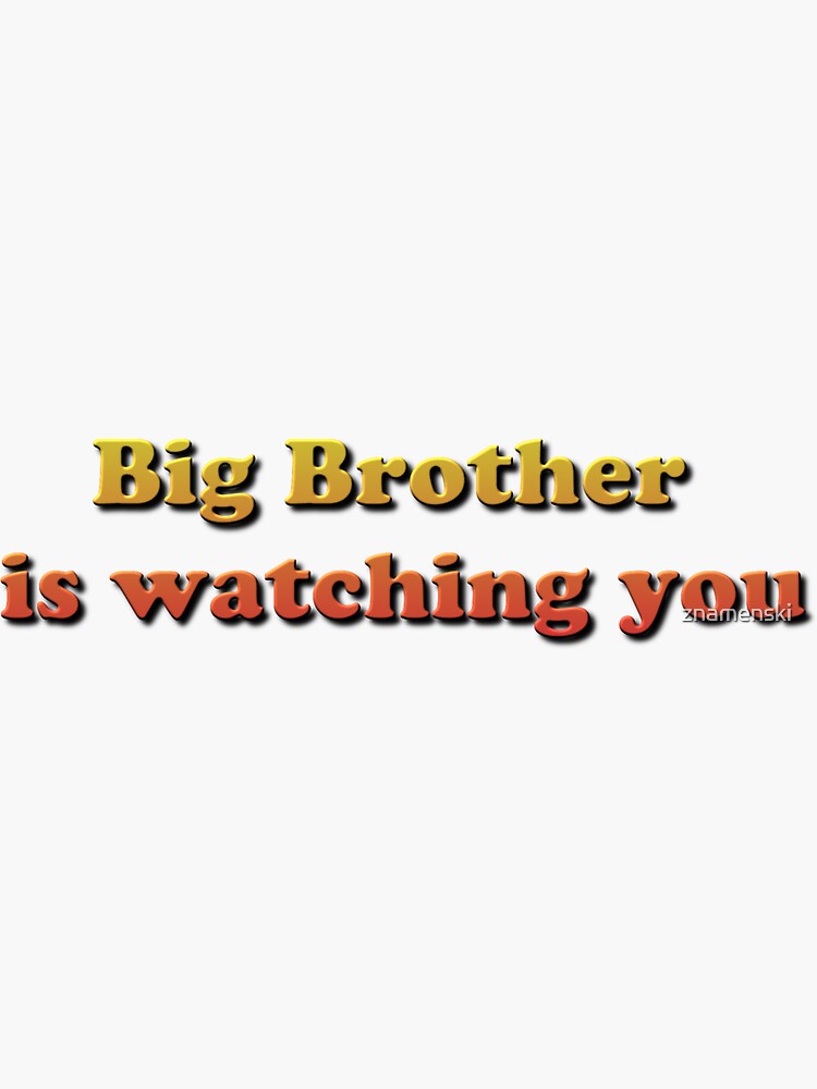 Big Brother Is Watching You by znamenski