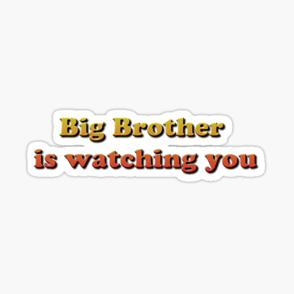 Big Brother Is Watching You Sticker