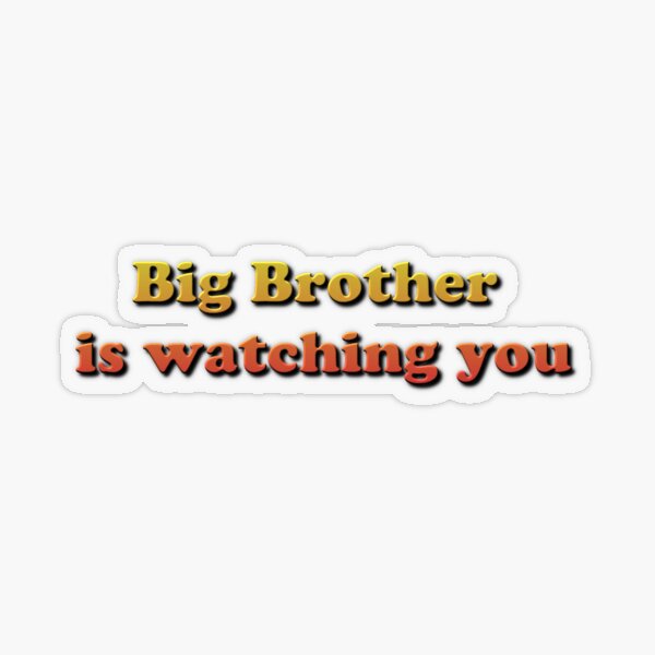 Big Brother Is Watching You Transparent Sticker