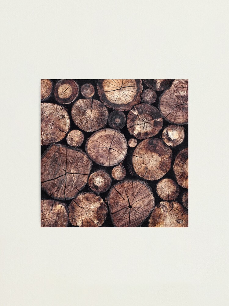 Thumbnail 2 of 3, Photographic Print, The Wood Holds Many Spirits designed and sold by Tordis Kayma.