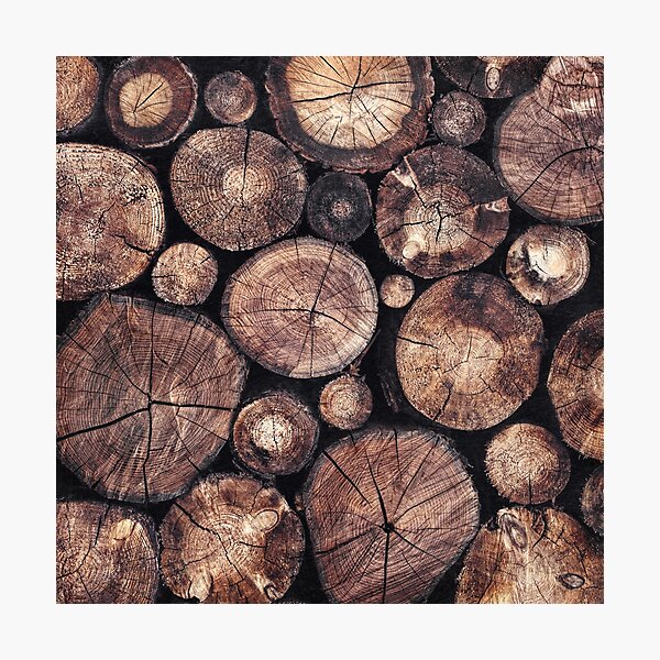 Photographic Print