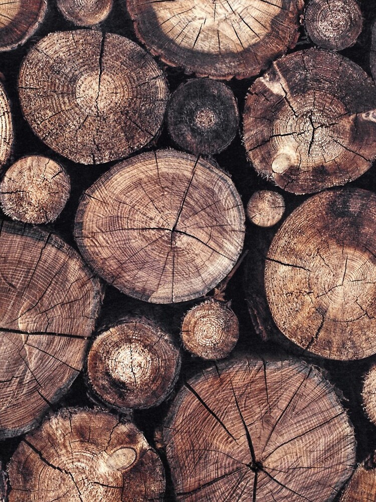 The Wood Holds Many Spirits by tekay