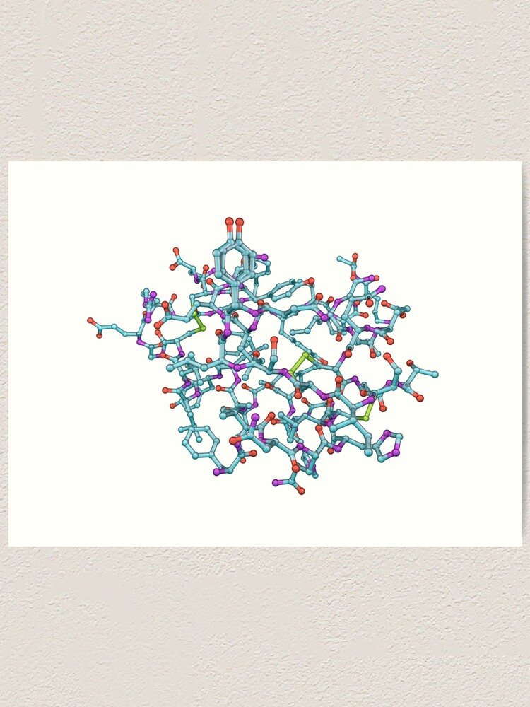 "Molecular model of insulin molecule" Art Print by DrMicrobe Redbubble