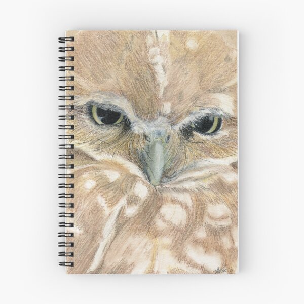 Item preview, The sulking owl designed and sold by Peter Zentjens.