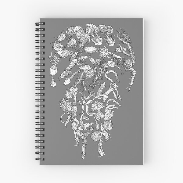 Item preview, Protostomia, trilobites, velvetworm, worms, tardigrades etc - Evolution  designed and sold by EvolutionPoster.