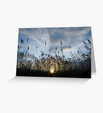 Screen Greeting Card